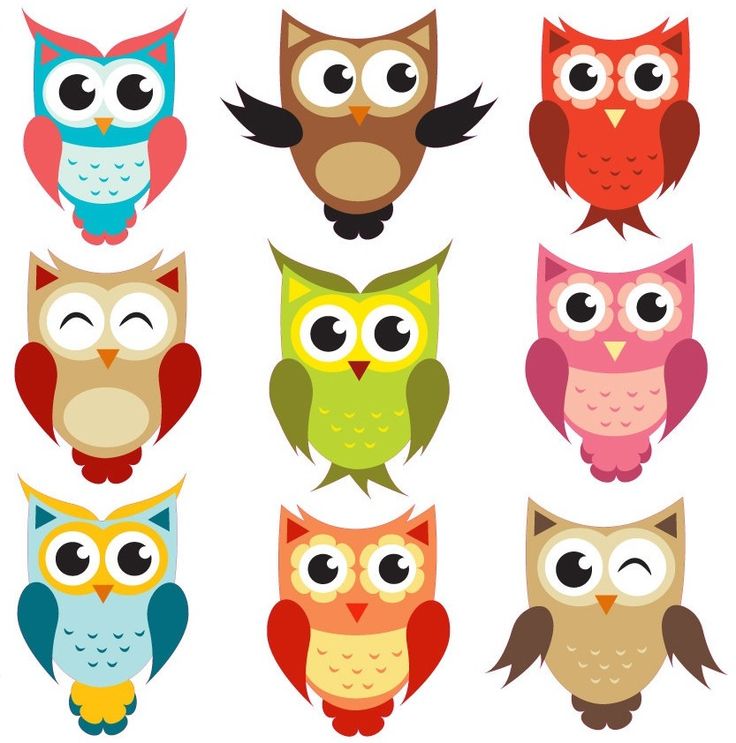 Owl Clipart   Being A Wise Owl  Via