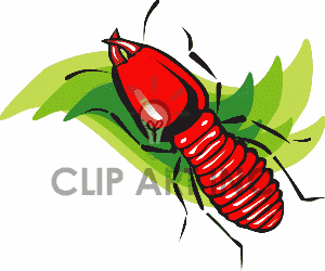 Graphicsfactory Commore Dragonflies Clip Art