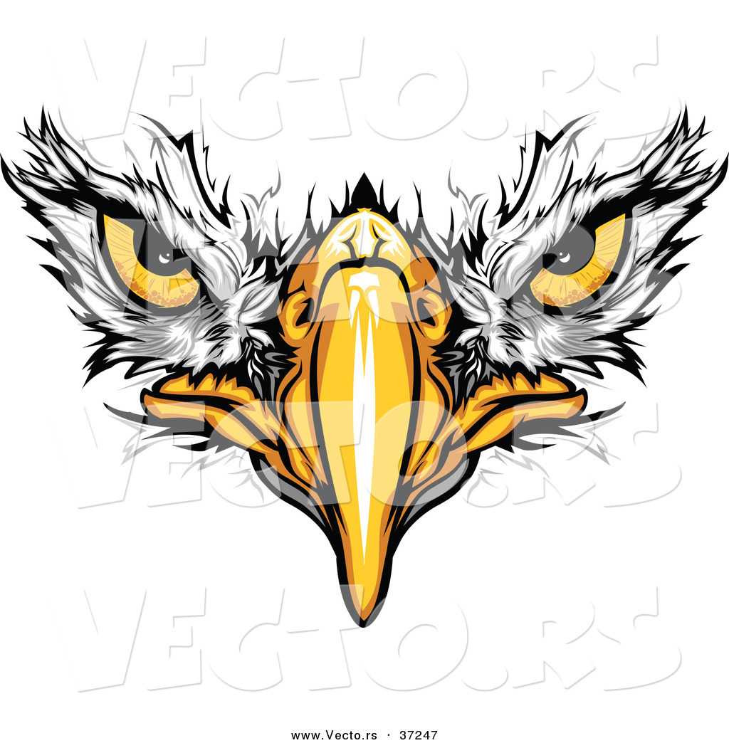 Eagle Free Football Clipart Images   School Clipart