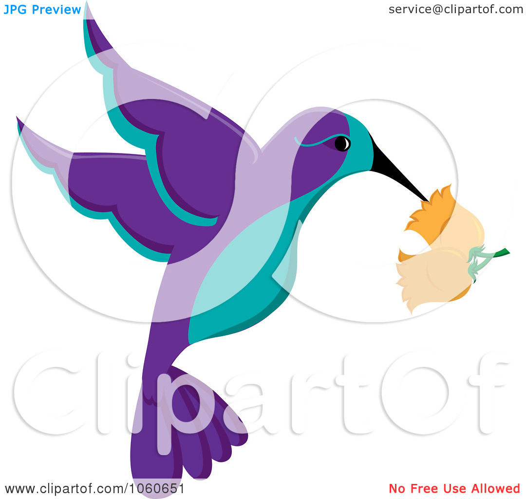 Purple And Turquoise Hummingbird With Trumpet Flowers By Pams Clipart