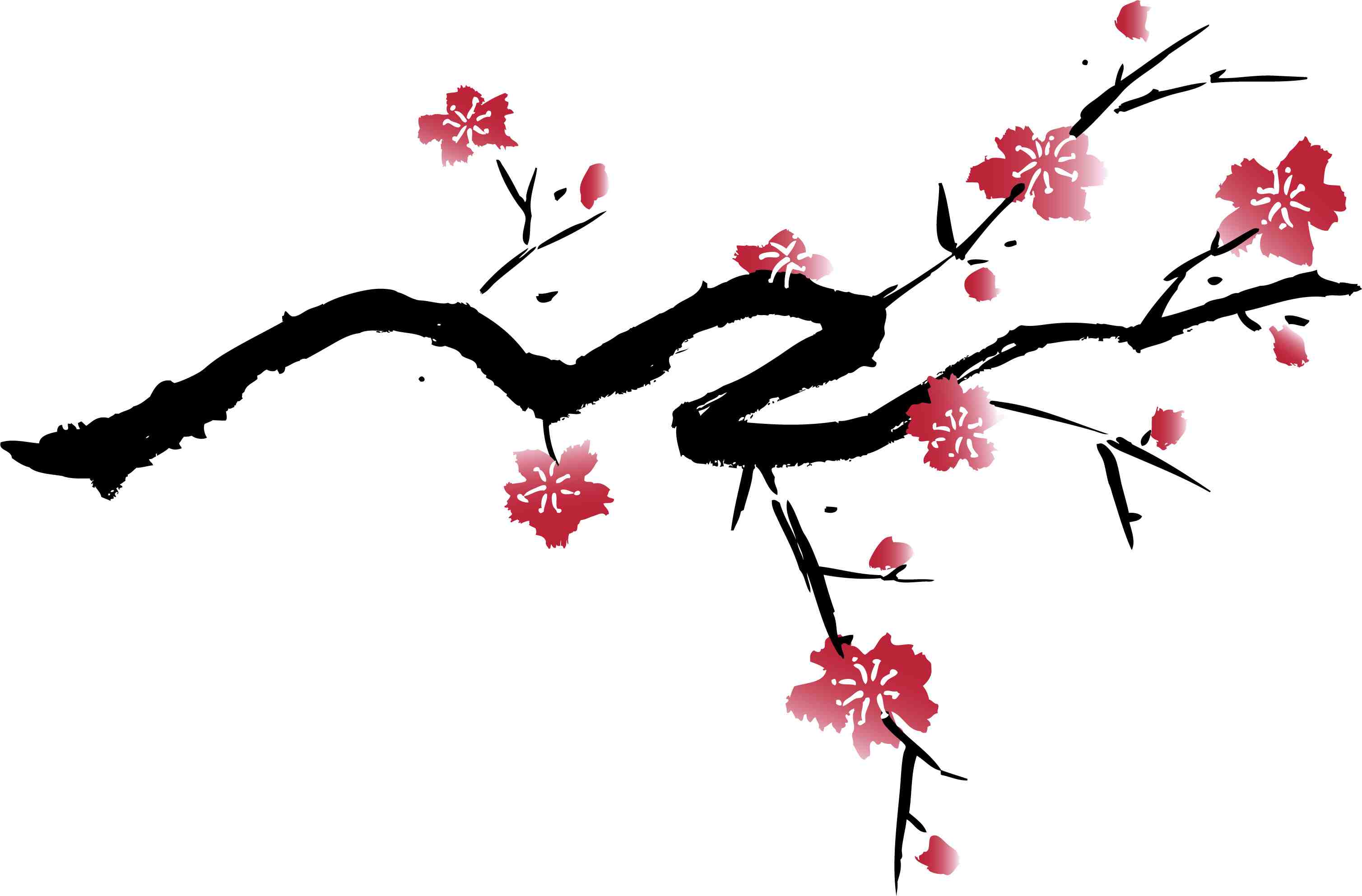 There Is 20 Cherry Blossom Black And White   Free Cliparts All Used