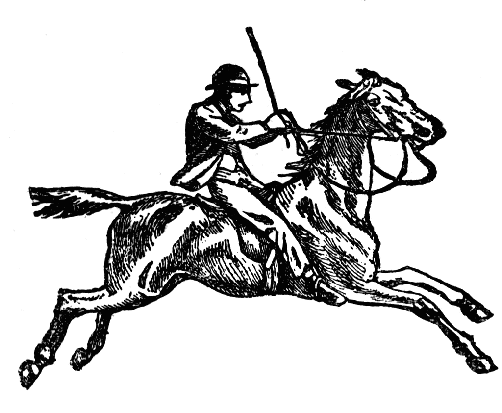 Horseback Riding Clipart