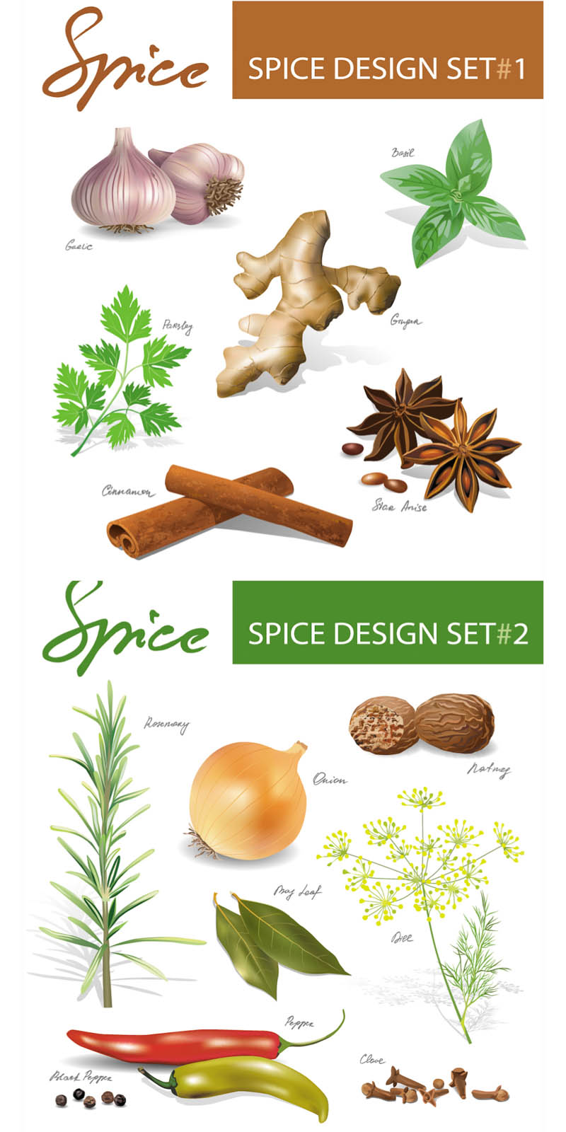 Back   Gallery For   Spice Bottle Clip Art