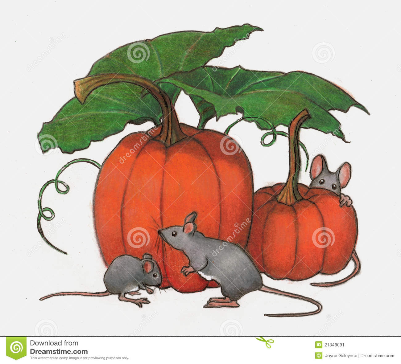 Mice Playing In Pumpkin Patch  Color Pencil Art Stock Image   Image