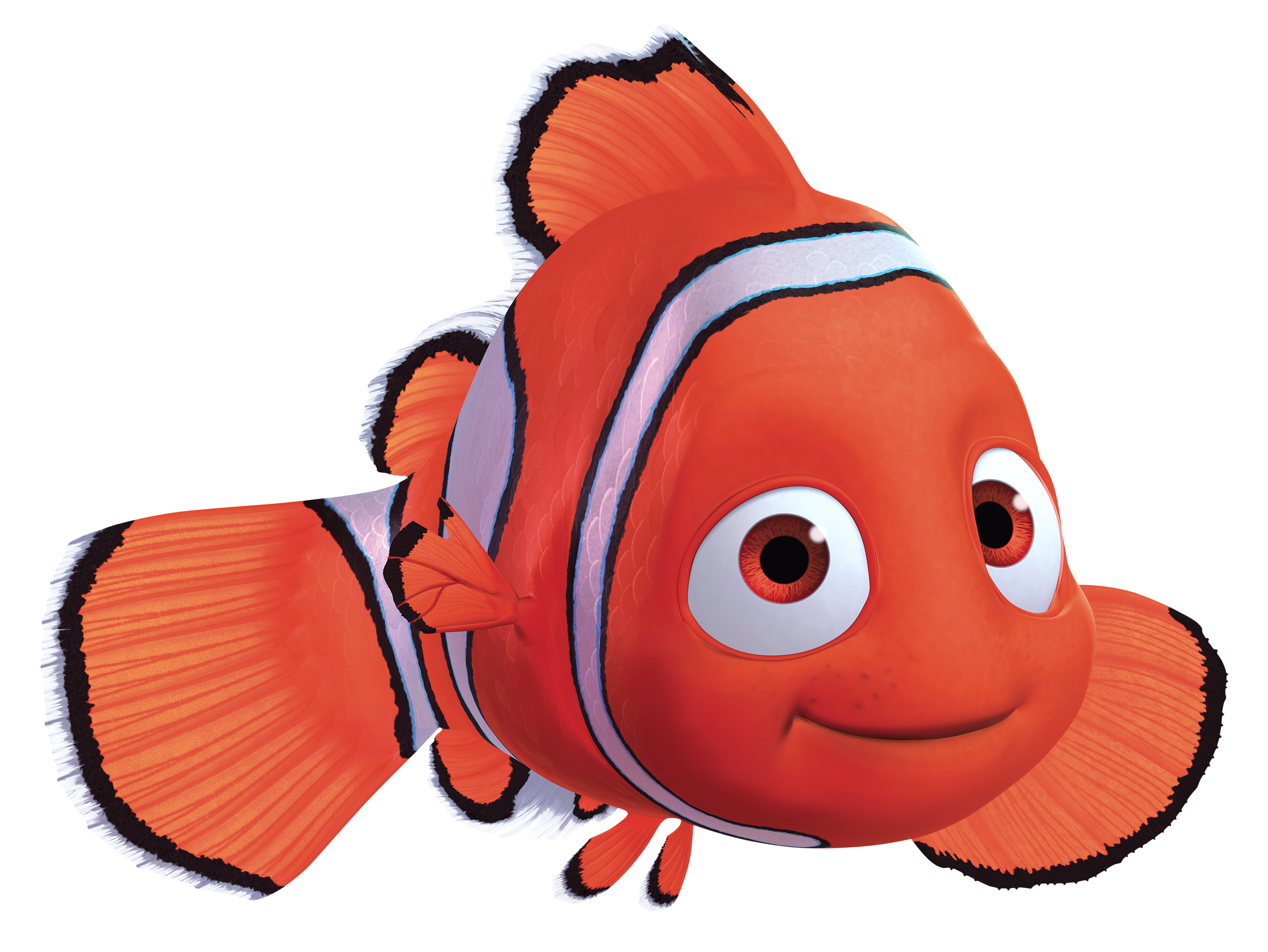 12 Nemo Cartoon Free Cliparts That You Can Download To You Computer    