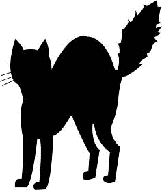 Cat Black And White Black Cat Cat Fizzed Tail Halloween Black Cat