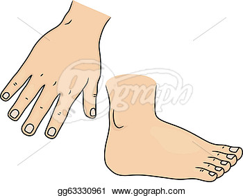 Illustration Of Hand And Foot Body Parts  Stock Clipart Gg63330961