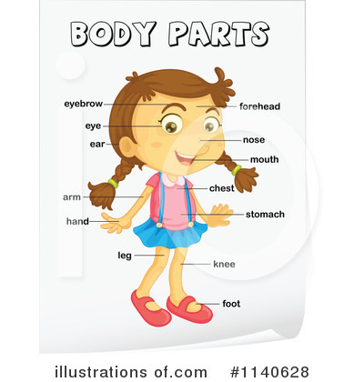 Child Body Clipart  Rf  Body Parts Clipart
