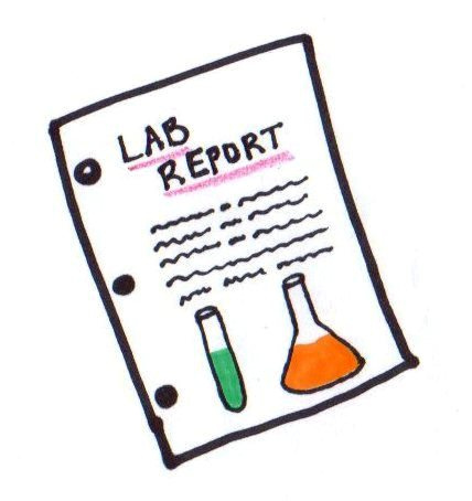 Lab Report   Flickr   Photo Sharing
