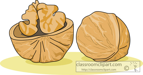 Objects   Whole Walnut   Classroom Clipart