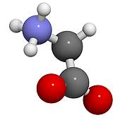Glycine  Gly G  Amino Acid Molecular Model    Clipart Graphic