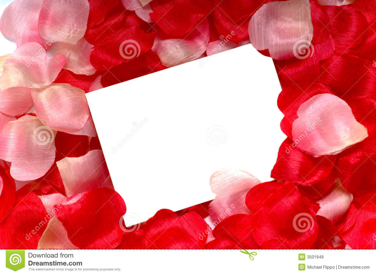 Rose Petal Notecard For Use At Valentine S Day Sweetest Day Or For