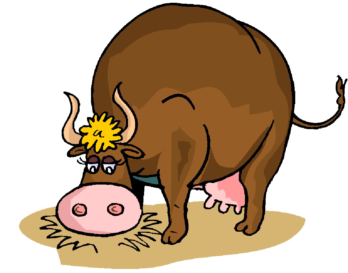 Beef Cow Clipart   Clipart Panda   Free Clipart Images