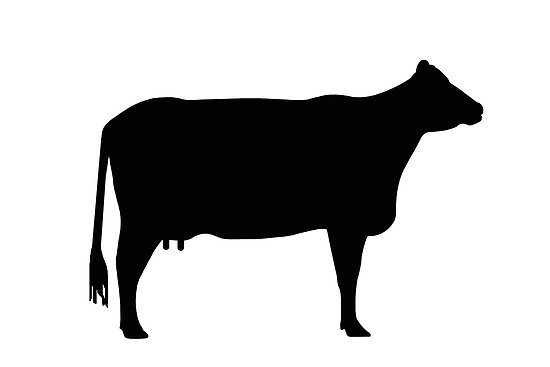 Beef Steer Clip Art   Clipart Panda   Free Clipart Images