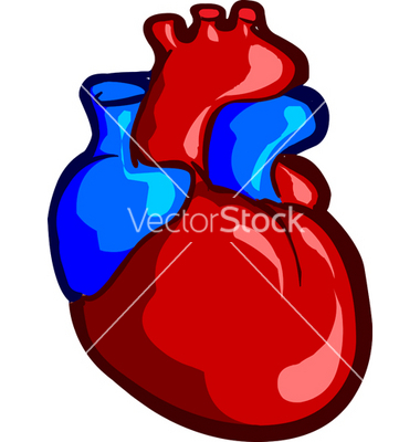 Clipart Real Heart   Clipart Panda   Free Clipart Images