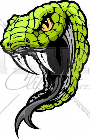 Mean Snake Head Vector Clipart Image   Team Clipart  Com   Quality
