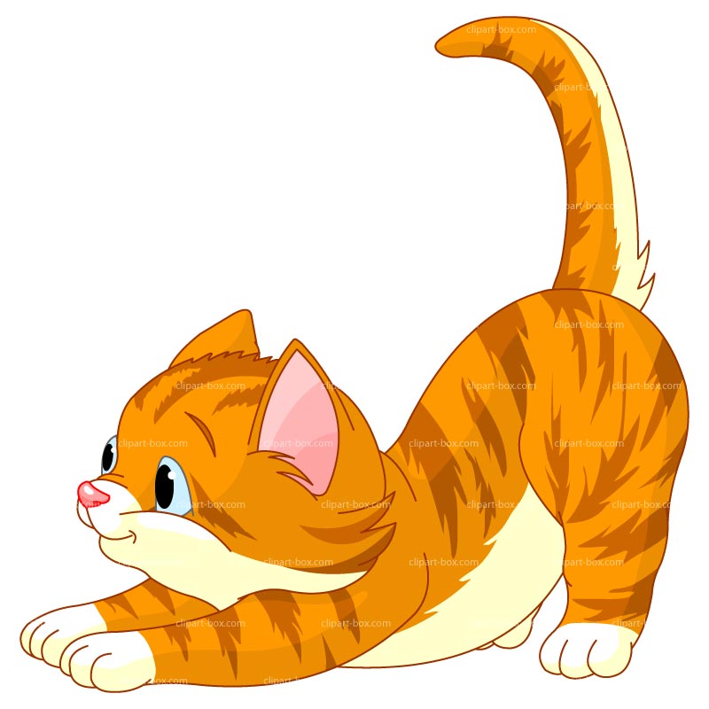 Clipart Cute Kitten   Royalty Free Vector Design