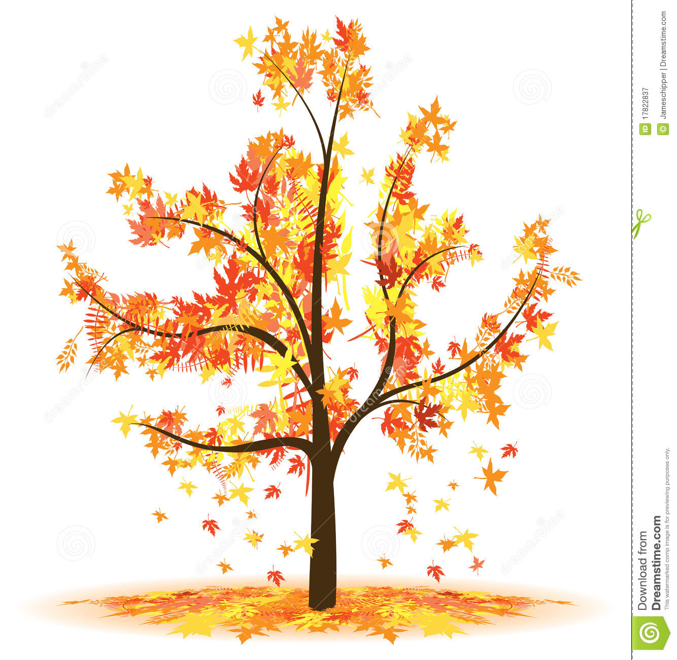 Autumn Tree Royalty Free Stock Photography   Image  17822837