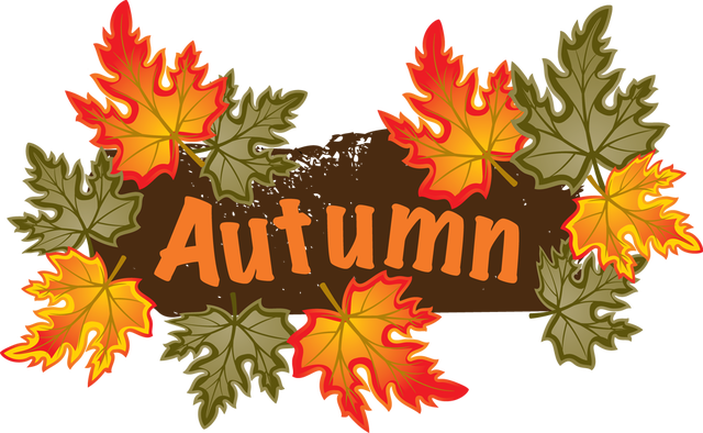 Clip Art Of Autumn Leaves  Photo Credit  Dixie Allan