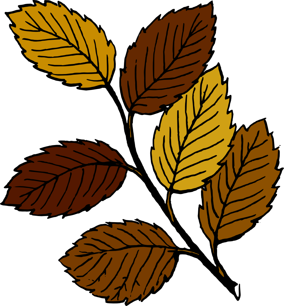 Onlinelabels Clip Art   Autumn Leaves On Branch