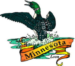 Of Minnesota The Loon With A Gold Banner Royalty Free Clipart Picture