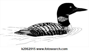 Stock Illustration Of Common Loon K2962915   Search Clipart Drawings