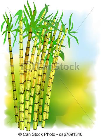 Vector Clipart Of Plant Of Sugar Cane Vector Illustration Csp7891340