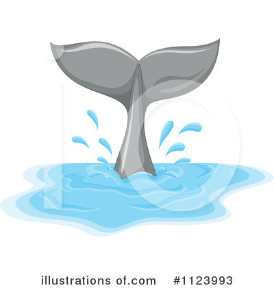 Whale Clip Art At Clker Com Vector Clip Art Online Royalty Free