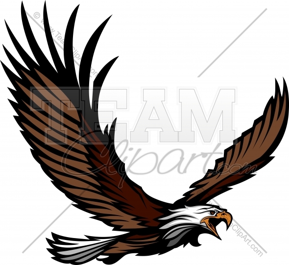 Eagle Mascot Flying With Wings Spread   Team Clipart  Com   Quality    