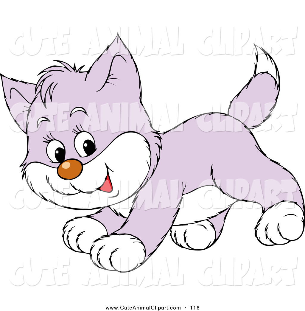 Of A Playful Purple And White Kitty Cat Running By Alex Bannykh    118