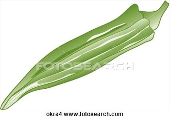 Drawings Of Okra One Okra4   Search Clip Art Illustrations Wall