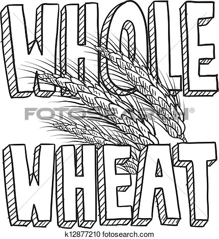 Whole Wheat Food Sketch View Large Clip Art Graphic