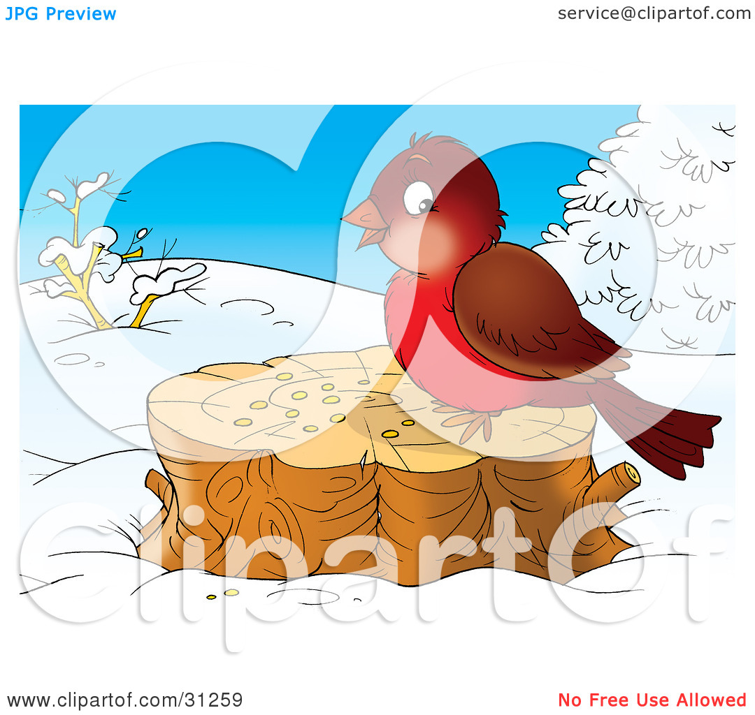 Clipart Illustration Of A Cute Brown And Robin Bird Eating Seed On A