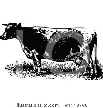 Beef Cattle Clipart