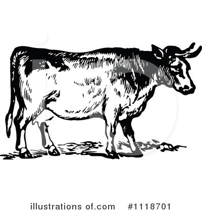 Beef Cattle Clipart Royalty Free  Rf  Cow Clipart