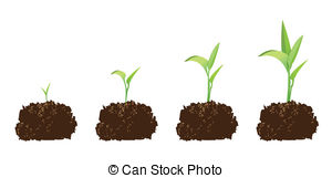 Germination Illustrations And Clipart