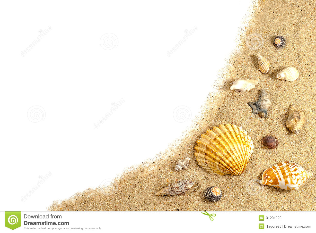 Beach Sand And Shells Stock Photo   Image  31201920