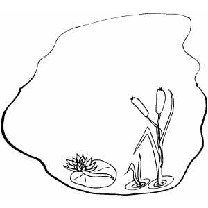 Pond Colouring Pages