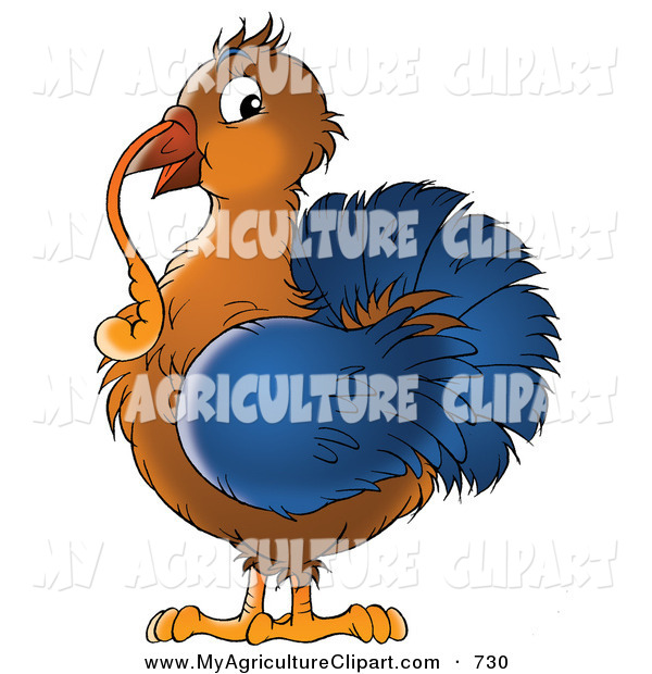 Agriculture Clipart Of A Brown And Blue Thanksgiving Turkey Bird With