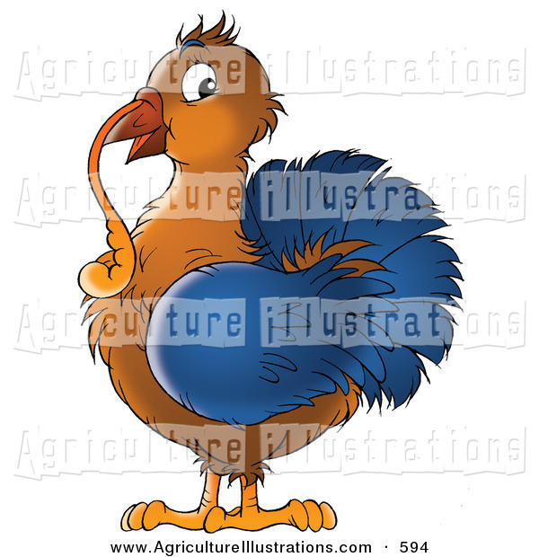 Agriculture Clipart Of A Cute Brown And Blue Turkey Bird With A Long