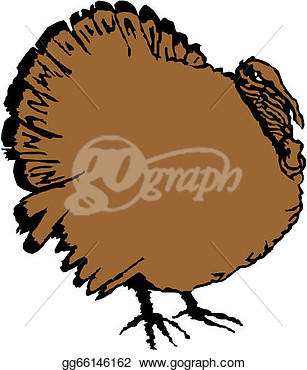 Stock Illustration   Vector Turkey Bird   Clip Art Gg66146162