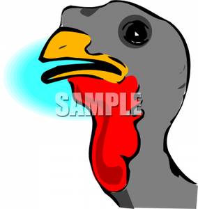 Wild Turkey Head   Royalty Free Clipart Picture