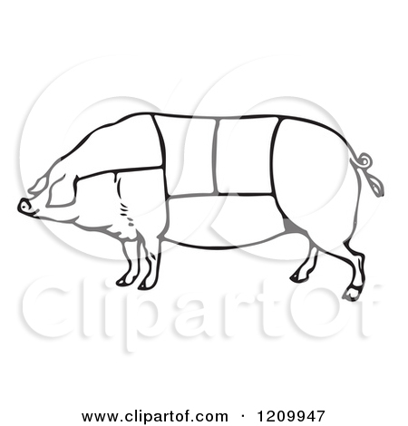 And White Pig With Butcher Sections Of Meat Cuts Poster Art Print Jpg