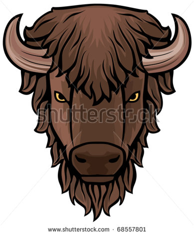 Buffalo Head Stock Photos Images   Pictures   Shutterstock