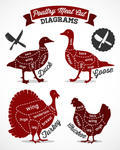 Poultry Cuts Diagram In Vintage Style Vector Chicken Cuts Diagram