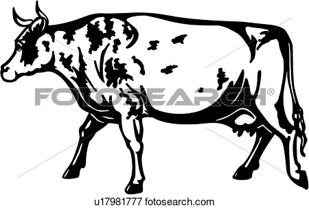 Clip Art Of  Animal Ayrshire Breeds Bull Cattle Farm Livestock
