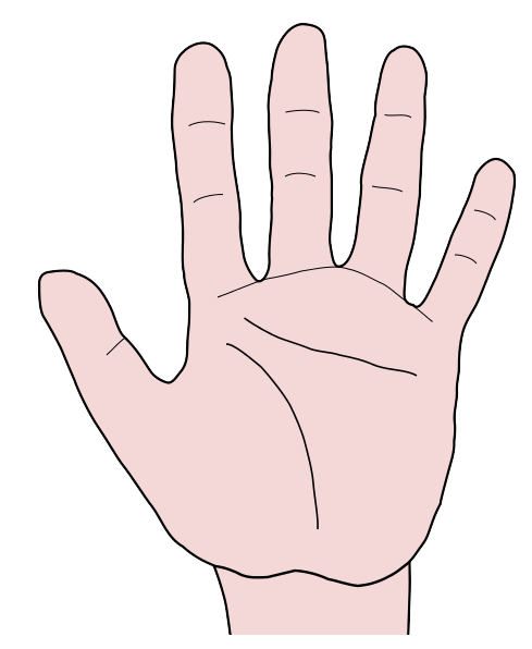 Free Palm Of Hand Clip Art