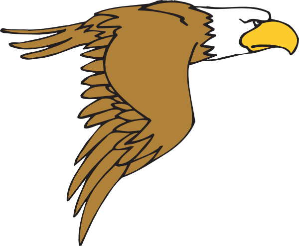 Flying Bald Eagle Cartoon Clip Art At Clker Com   Vector Clip Art