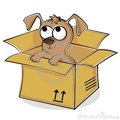 Nice Puppy In Box Royalty Free Stock Photos   Image  20237258