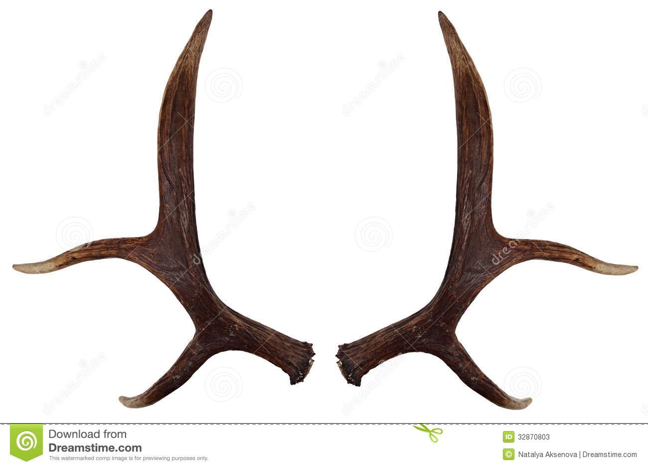 Elk Antlers Clip Art 27996   Movdata